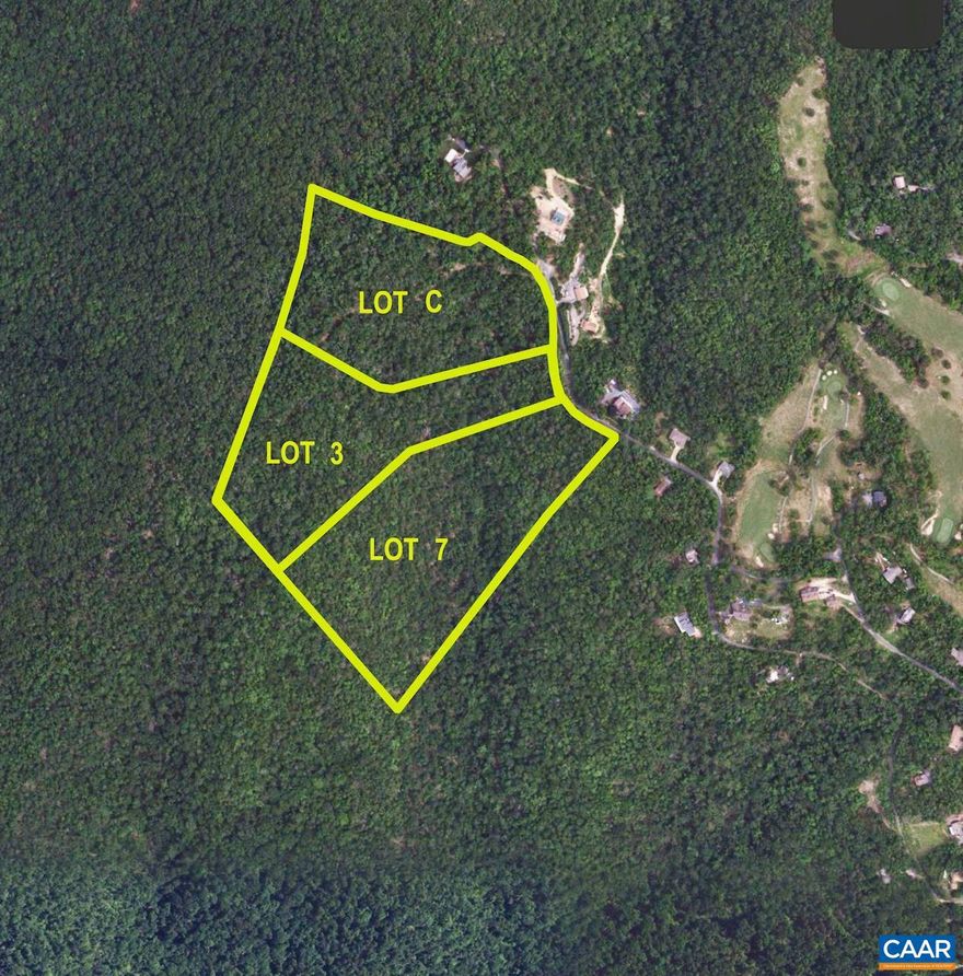 Walk to Shenandoah National Park and the Blue Ridge Parkway. Rare opportunity to own a 12 acre estate parcel within easy commute to Charlottesville, the Valley, Appalachian Trail & numerous other hiking trails including Humpback Rocks.  Complete privacy surrounded by mature hardwoods and amazing winter mountain views and year round with clearing. Swannanoa golf course just around the bend.