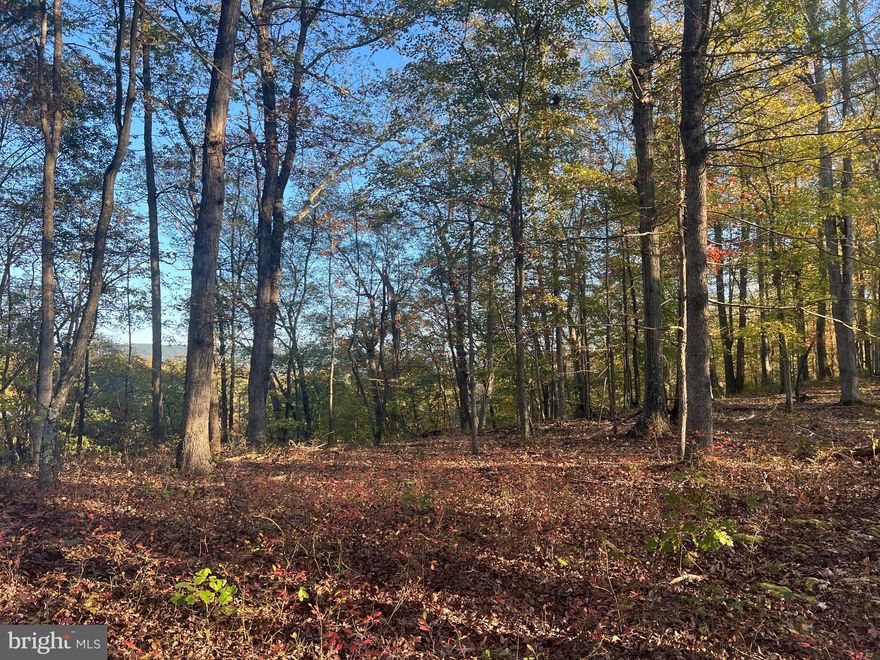 64.02 wooded acres with the potential for amazing mountain views! Take a walk onto the property to find a beautiful potential build site with a temporary power pole already set up and under ground conduit ran - just needs the meter box! If this is not your ideal build site then you still have plenty of land to find your perfect spot! Maybe towards the back of the property where a small stream runs? This property was once going to be a development so there are several perc sites throughout the property. This information has been ordered from the Berkeley County Health Department and will be made available once received. Whether you are looking to build your dream home amidst the mountains, a homestead for your family, are a builder looking for a development site, OR  you are just looking for a place to hunt -this property is a must see!