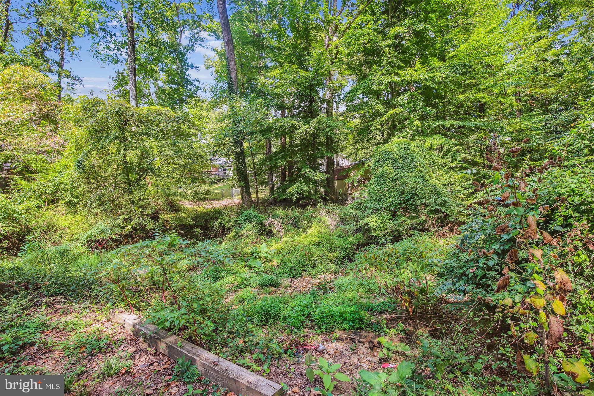 NORTH SPRINGFIELD - Residential