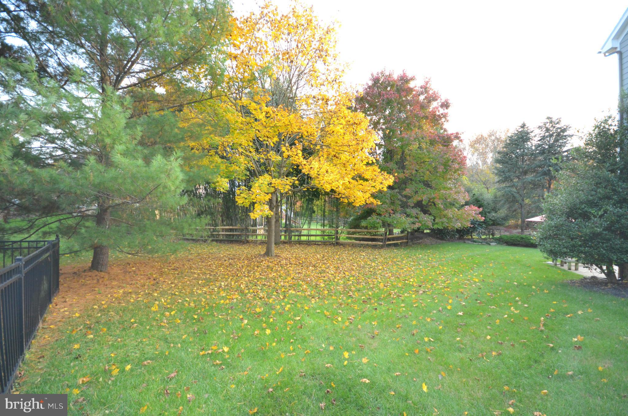 THE FIELDS AT SEMINARY - Residential