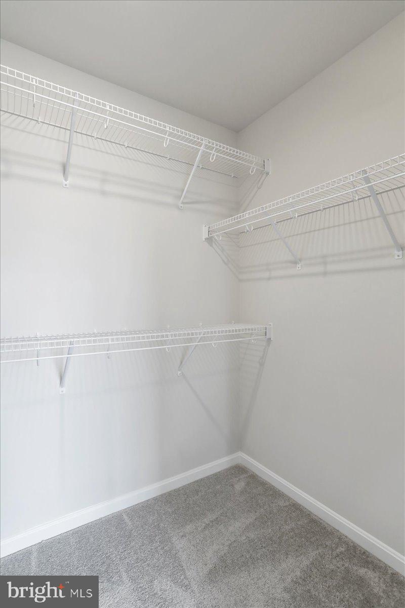 NORBORNE GLEBE - Residential Lease