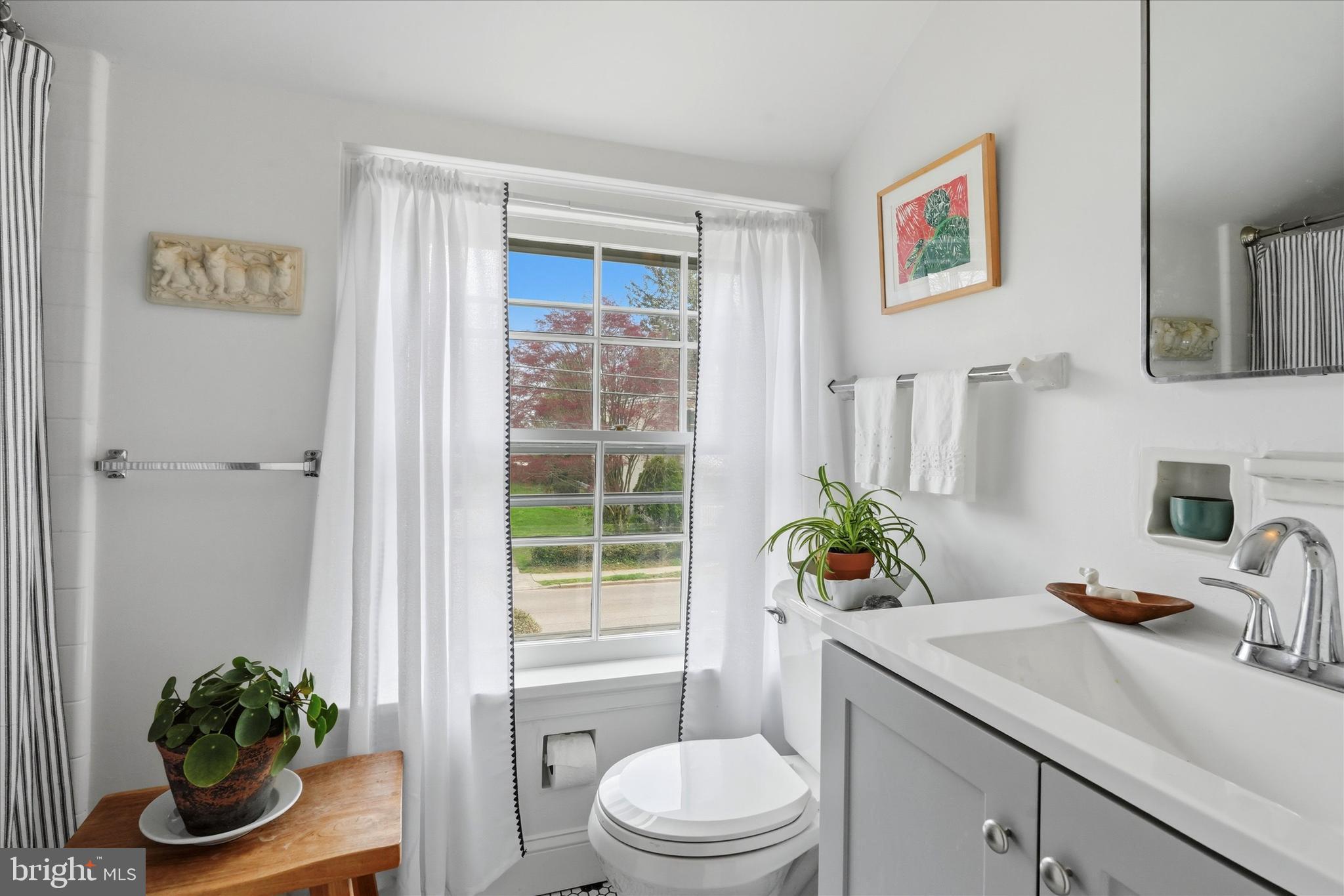 CHESTNUT HILL - Residential