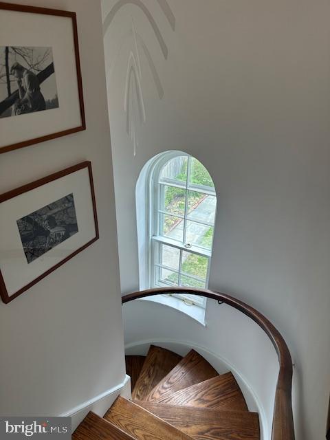CHESTNUT HILL - Residential