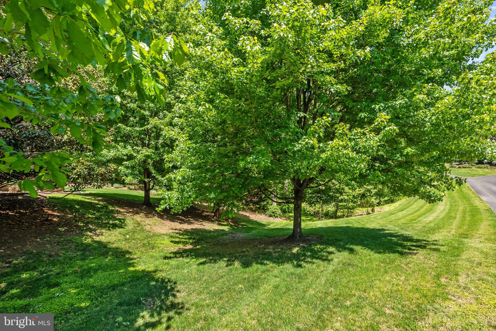FITZ FOLLY FARMS - Residential