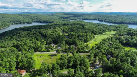 Vacant Land For Sale - 20 Fern Loop<br/> MC HENRY, MD 21541