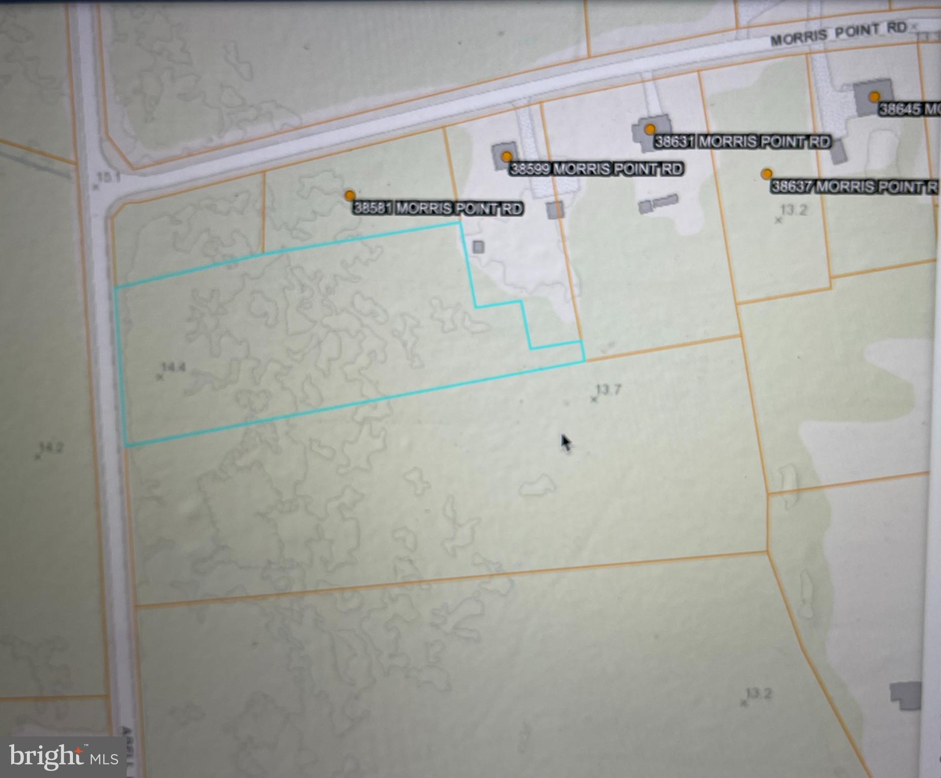 Main image without alt text