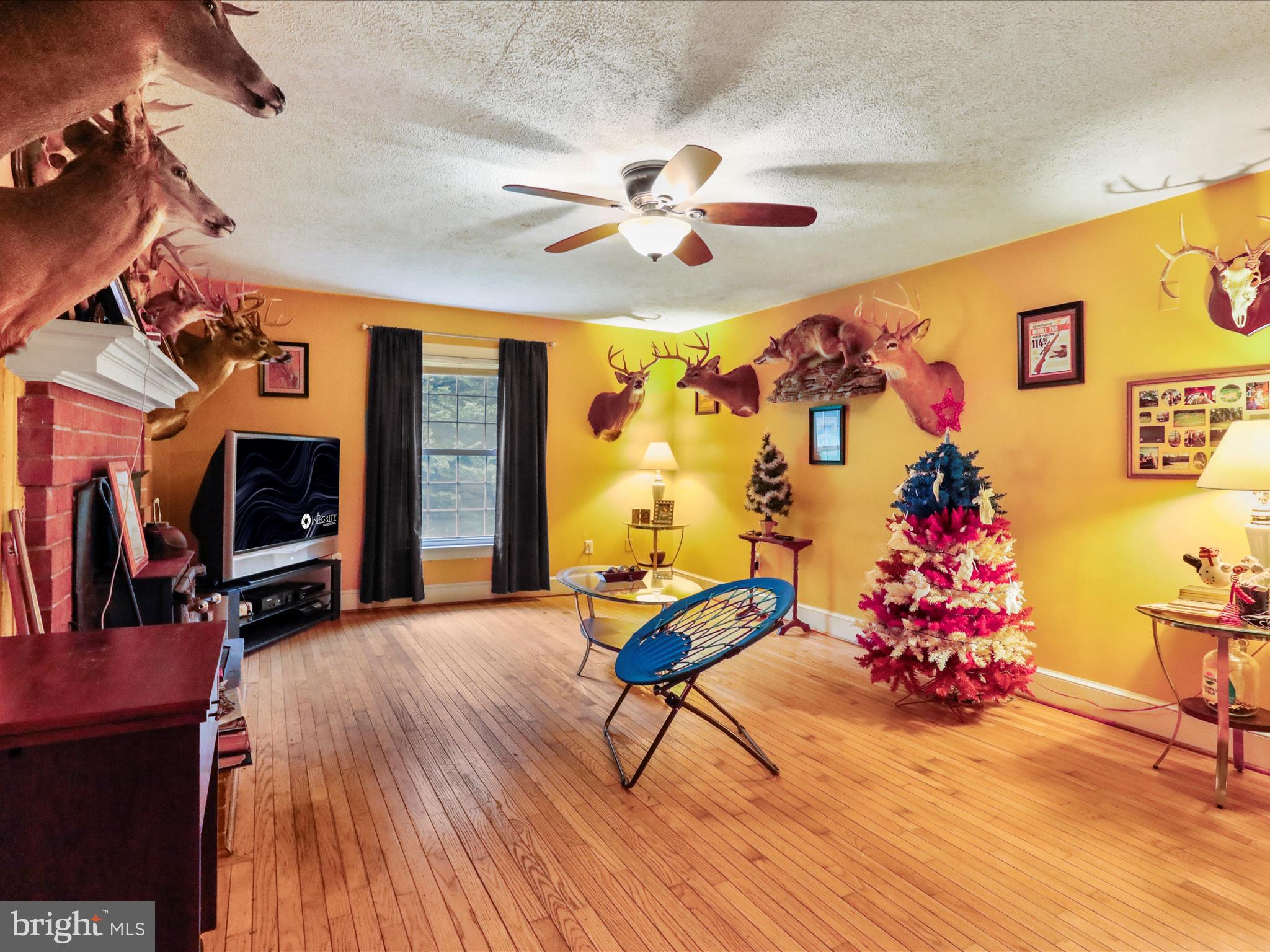 HOLLY HILL - Residential