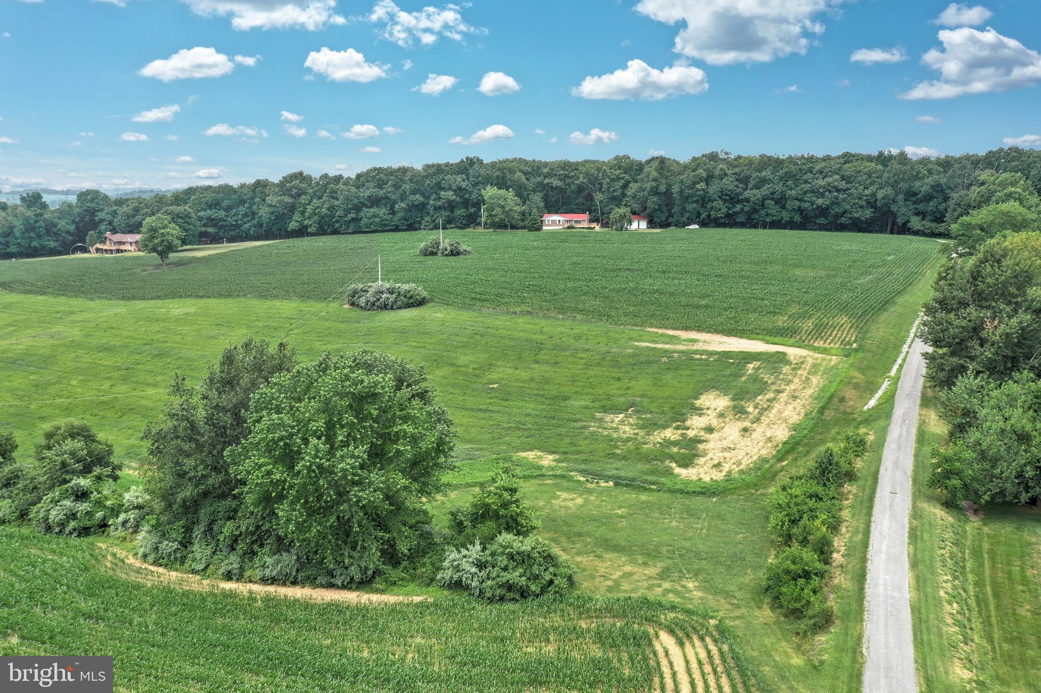 NONE AVAILABLE - Farm