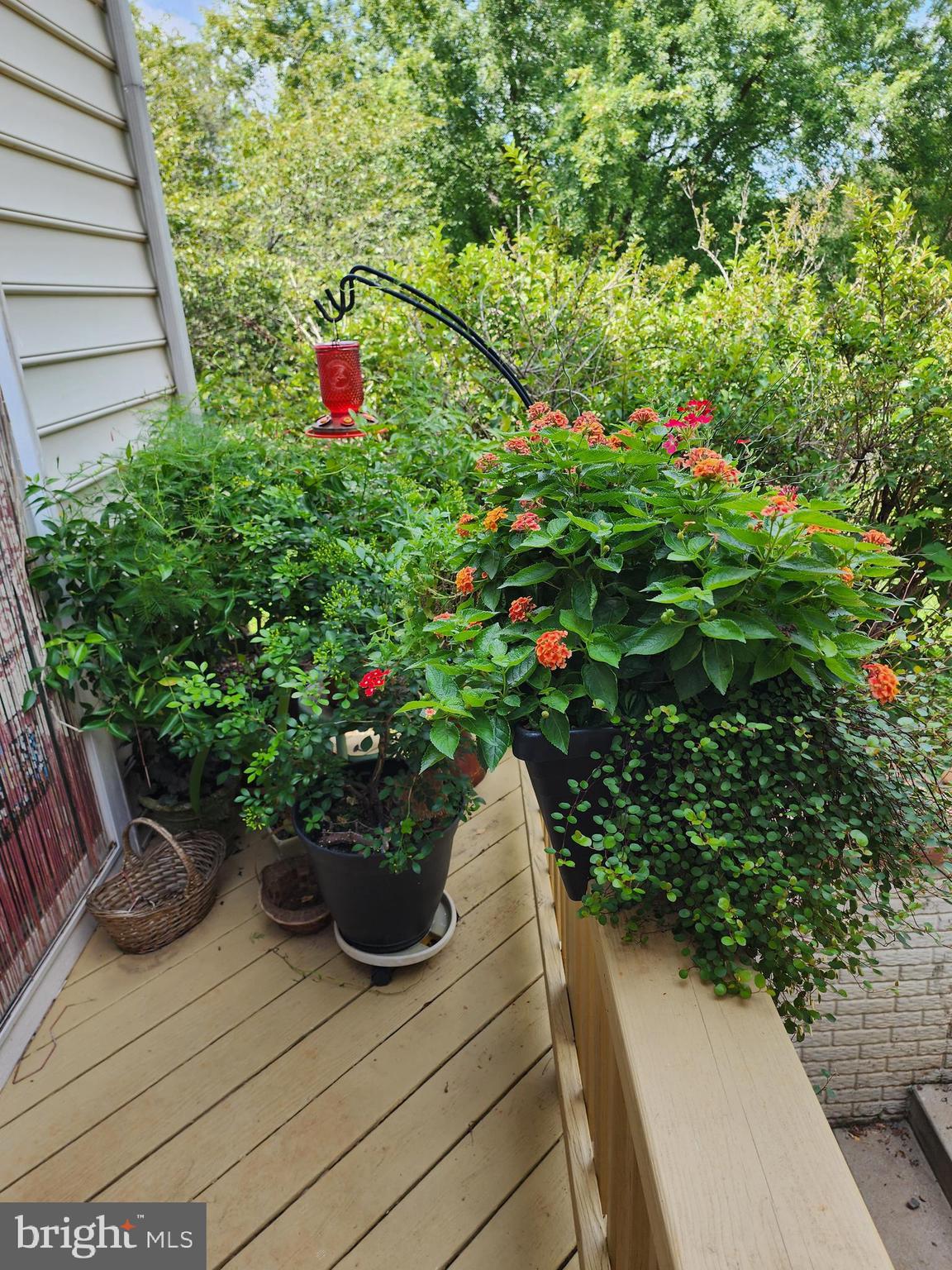 CLAIRMONT MANOR - Residential