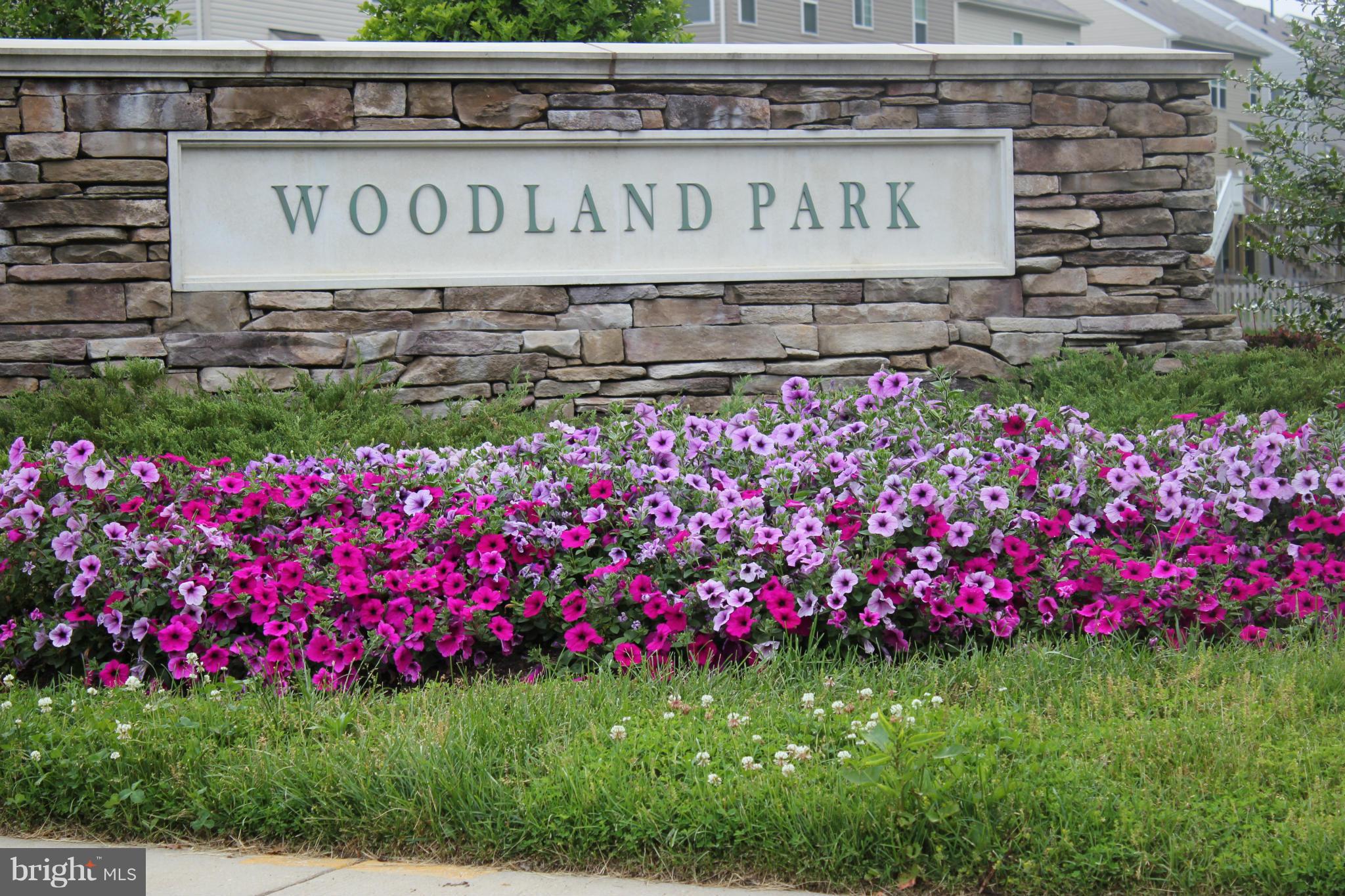 WOODLAND PARK AT WILDEWOOD - Residential