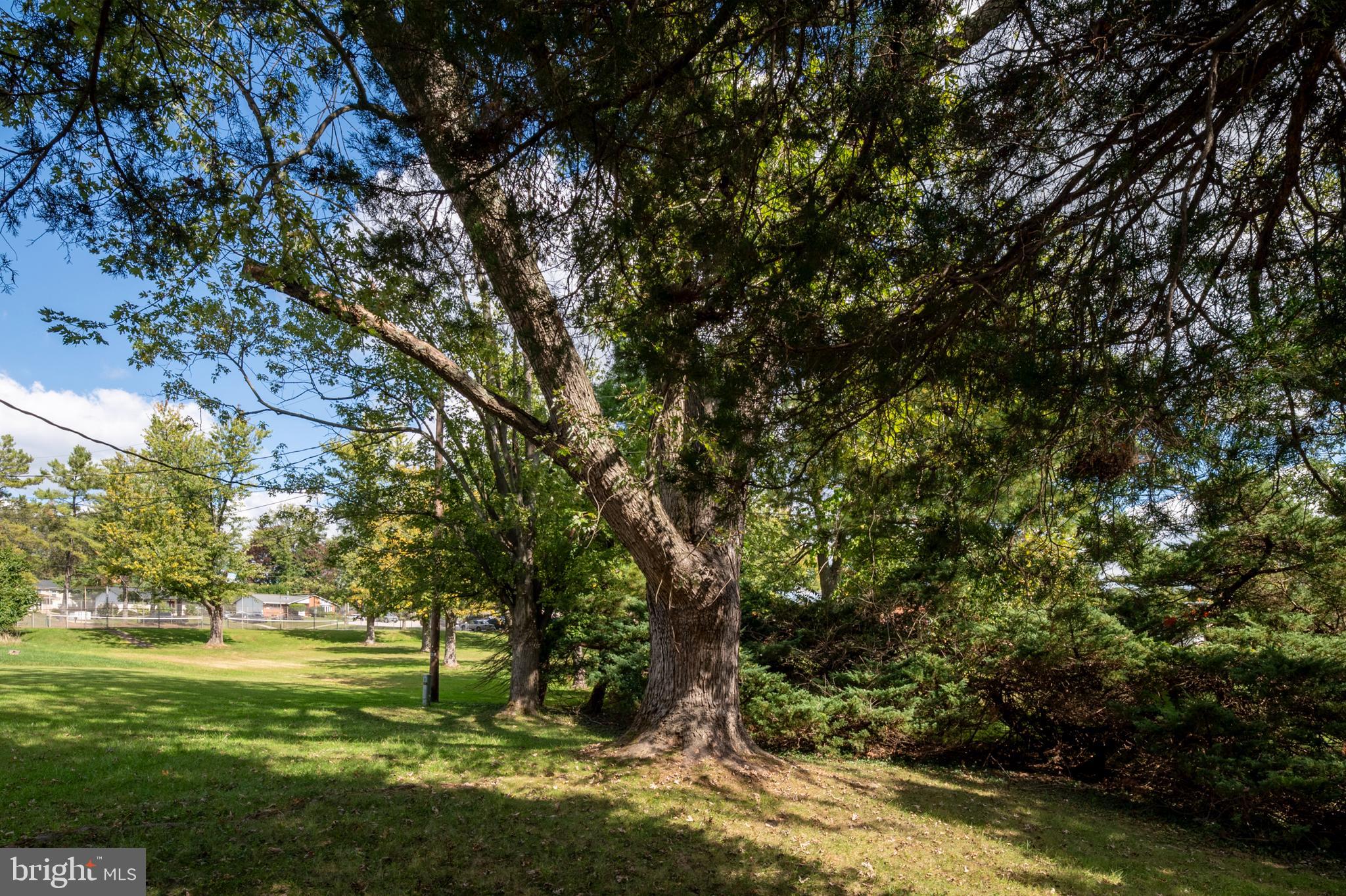 LAYDON PARK - Residential Lease