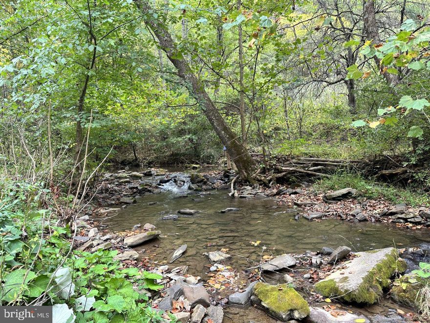 This listing is part of a large 3,000-acre land auction in 21 tracts with tract sizes ranging from 4 acres to 1,200 acres. 10 acres Road and Creek frontage on this nice 10-acre parcel. Here is your opening to your West Virginia dream cabin. Auction property; list price required by MLS and does not reflect true sale price. Monroe County Schools: Mountain View Elementary and Middle, James Monroe High.