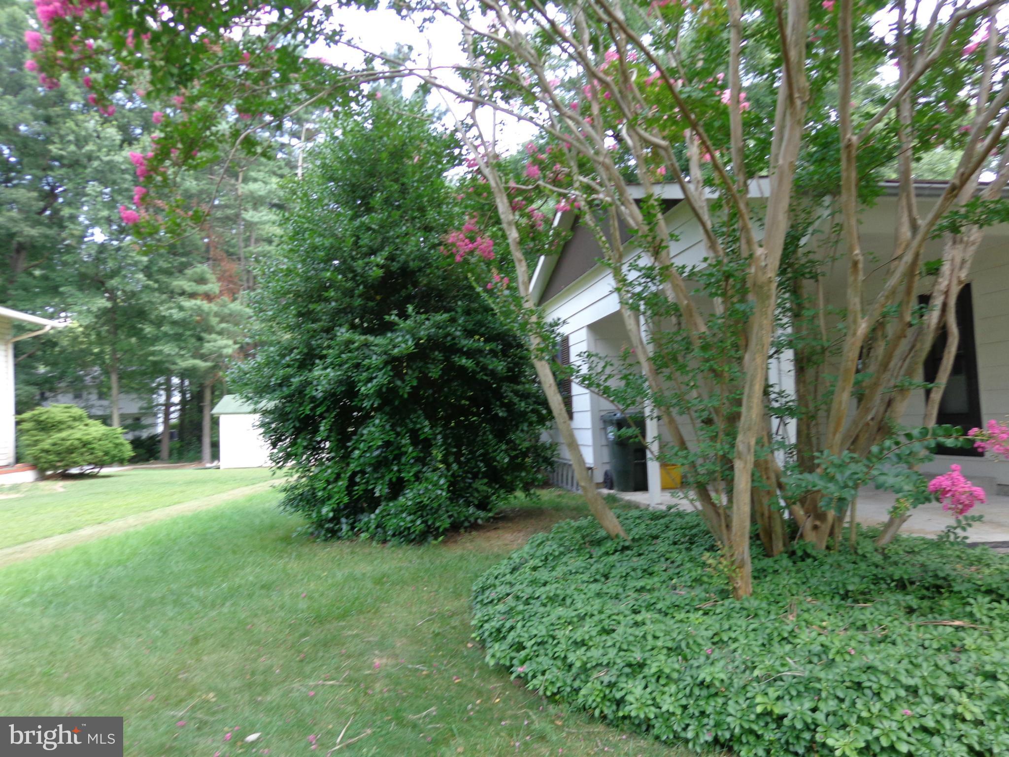 RUTHERFORD - Residential