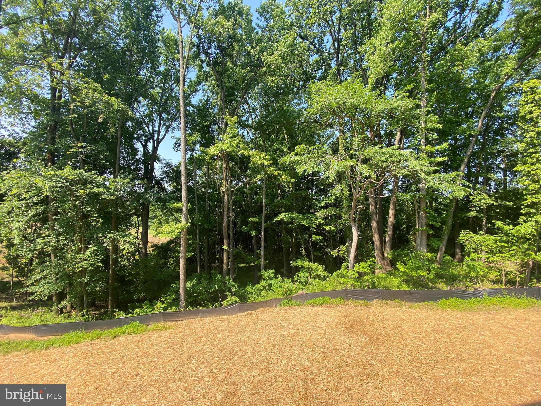 16501 ROLLING KNOLLS LANE