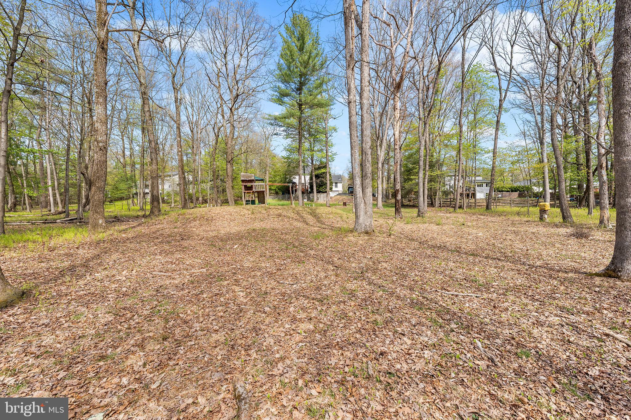 CHESTNUTRIDGE PLANTATION - Residential