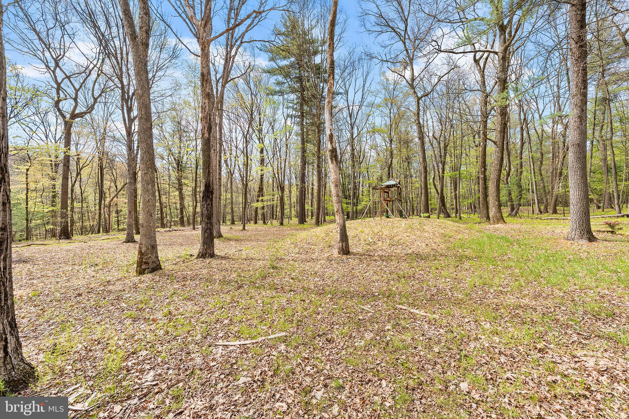 CHESTNUTRIDGE PLANTATION - Residential