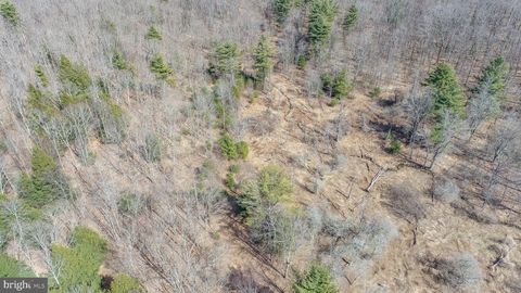 listing image 76