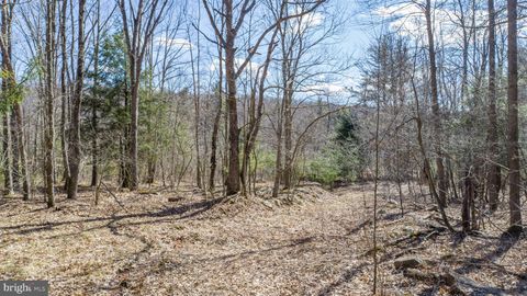 listing image 67