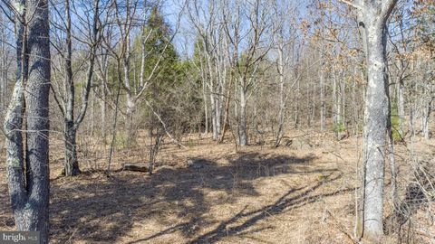 listing image 82
