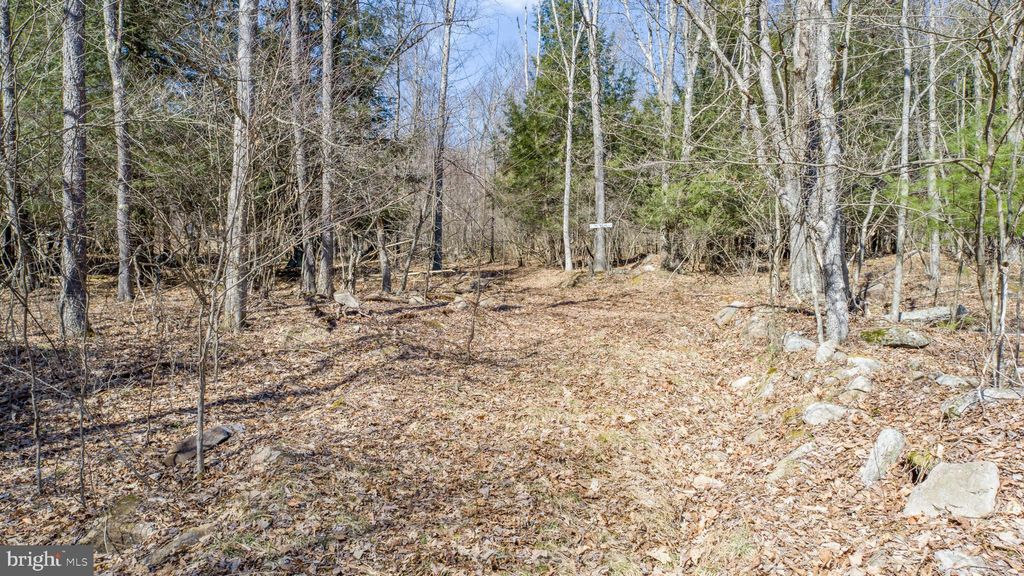 listing image 83