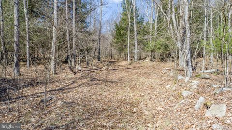 listing image 83