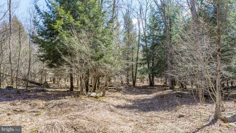 listing image 63