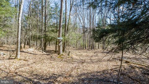 listing image 65