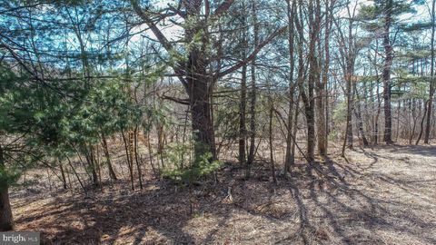 listing image 59