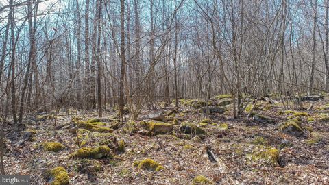 listing image 79