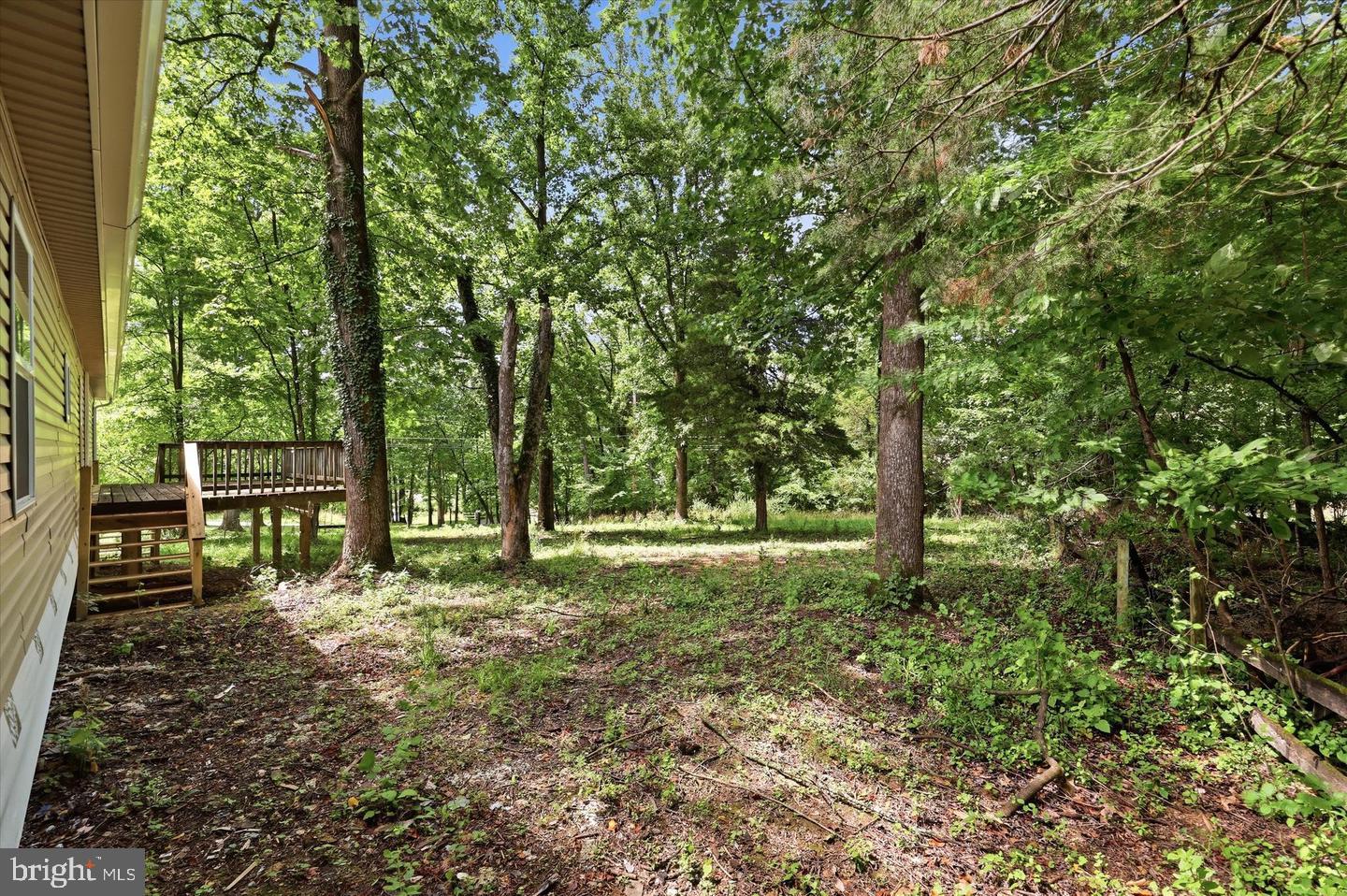 88 CAMPSITE COURT