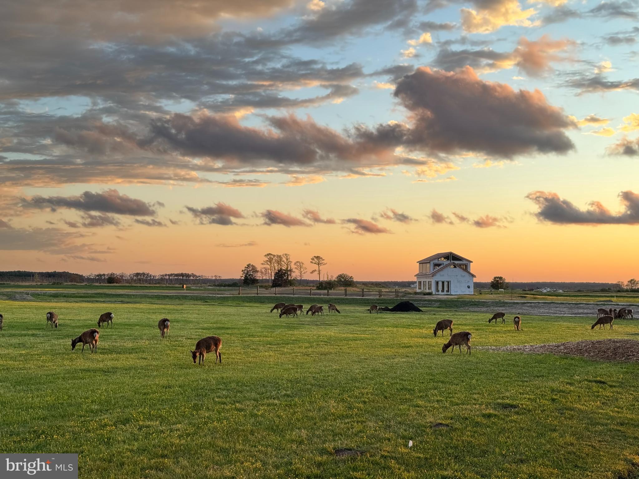 NONE AVAILABLE - Farm