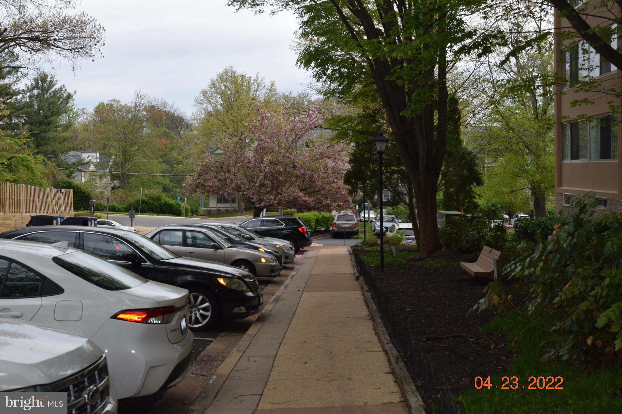 IVYMOUNT COURT - Residential Lease