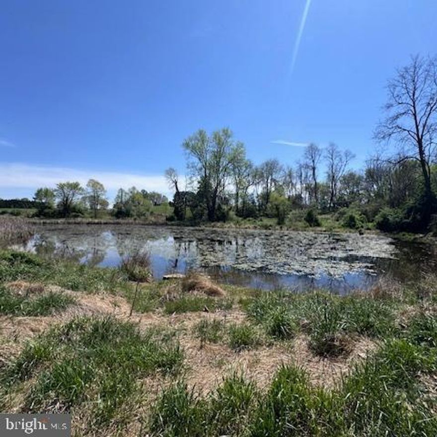 Blank canvas awaits for you to build your perfect estate! You will fall in love with this beautiful 6.2 acre lot nestled among preserved AG land in Western Howard County. The long stately driveway is grown over but leads back to the original old house which has collapsed.  The approved house site is located at the old house site which has an awesome view of the stream and pond.  Let your imagination paint the beautiful portrait of a house with large front porch to sit and gaze at the pond , maybe a small barn for horses or 4-H projects,  a large detached shop for toys, or maybe an orchard or vegetable gardens. This property has so much potential.  All this located minutes from 170 a major commuter route. Call your favorite agent today for a private tour.  Well report, perc notes, plat with approved perc area approved by health officer in documents. DO NOT TOUR  without an approved showing.