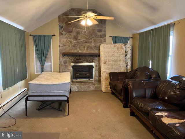 118 BUCKHILL ROAD