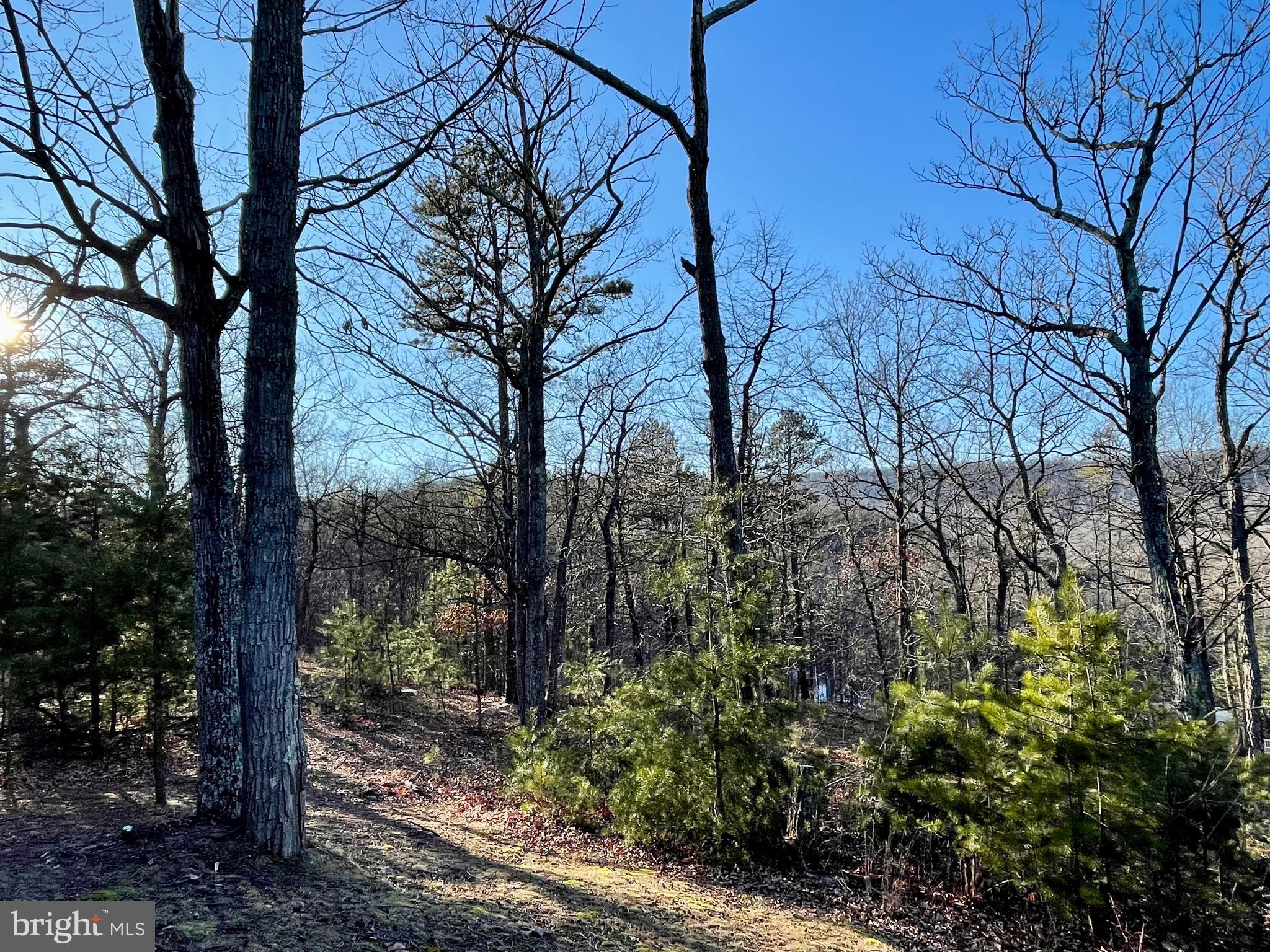 SLEEPY WOODS - Residential