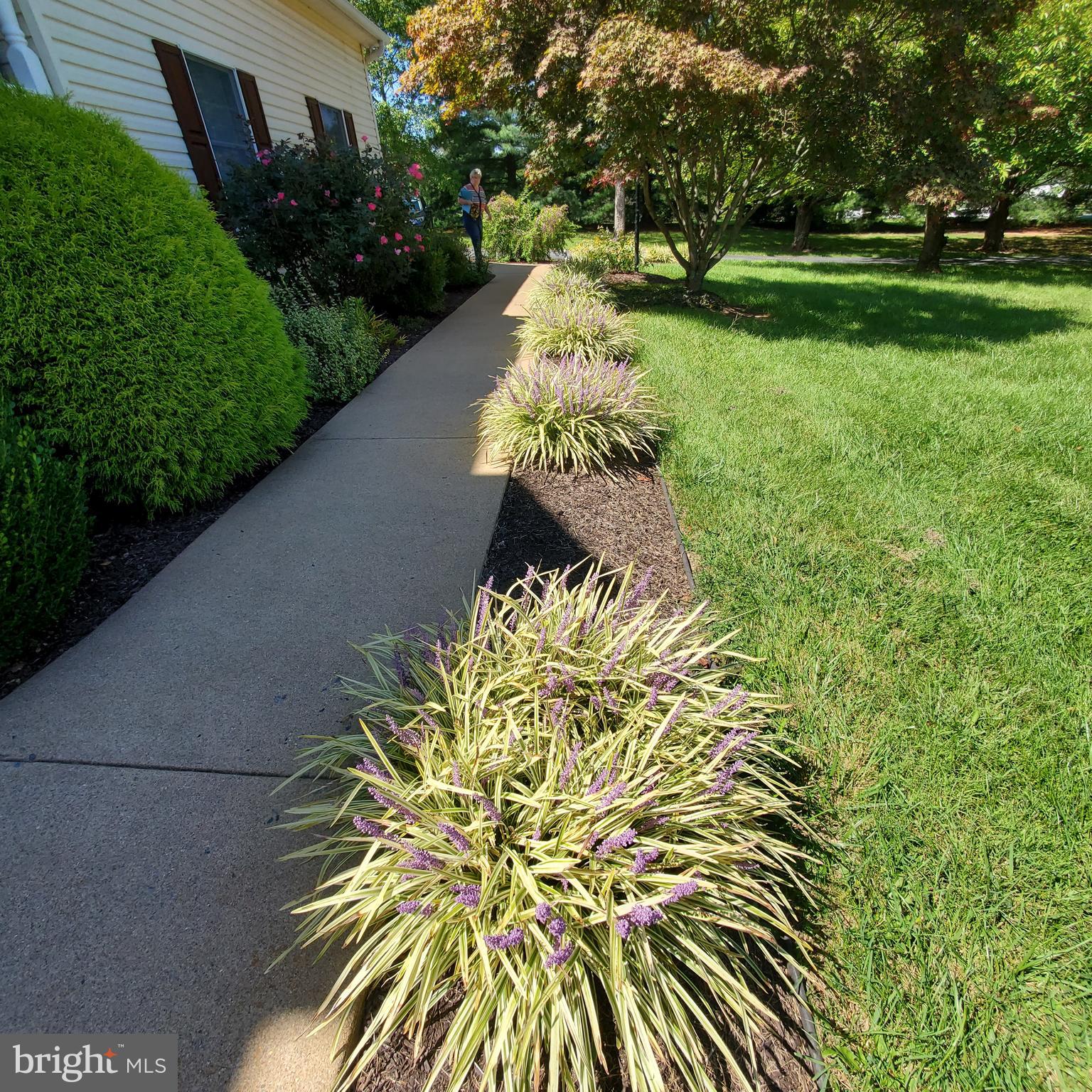 EVERMAY MANOR - Residential