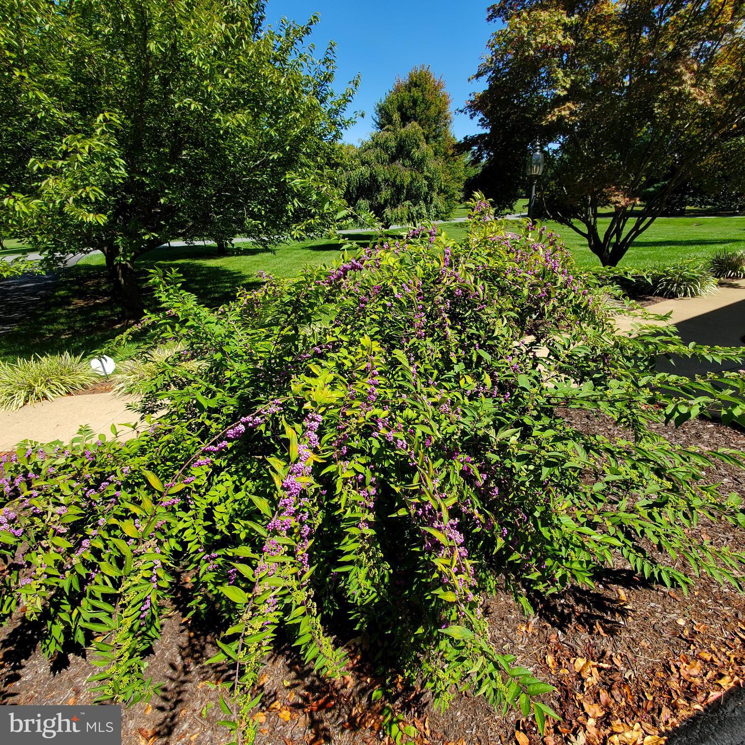 EVERMAY MANOR - Residential