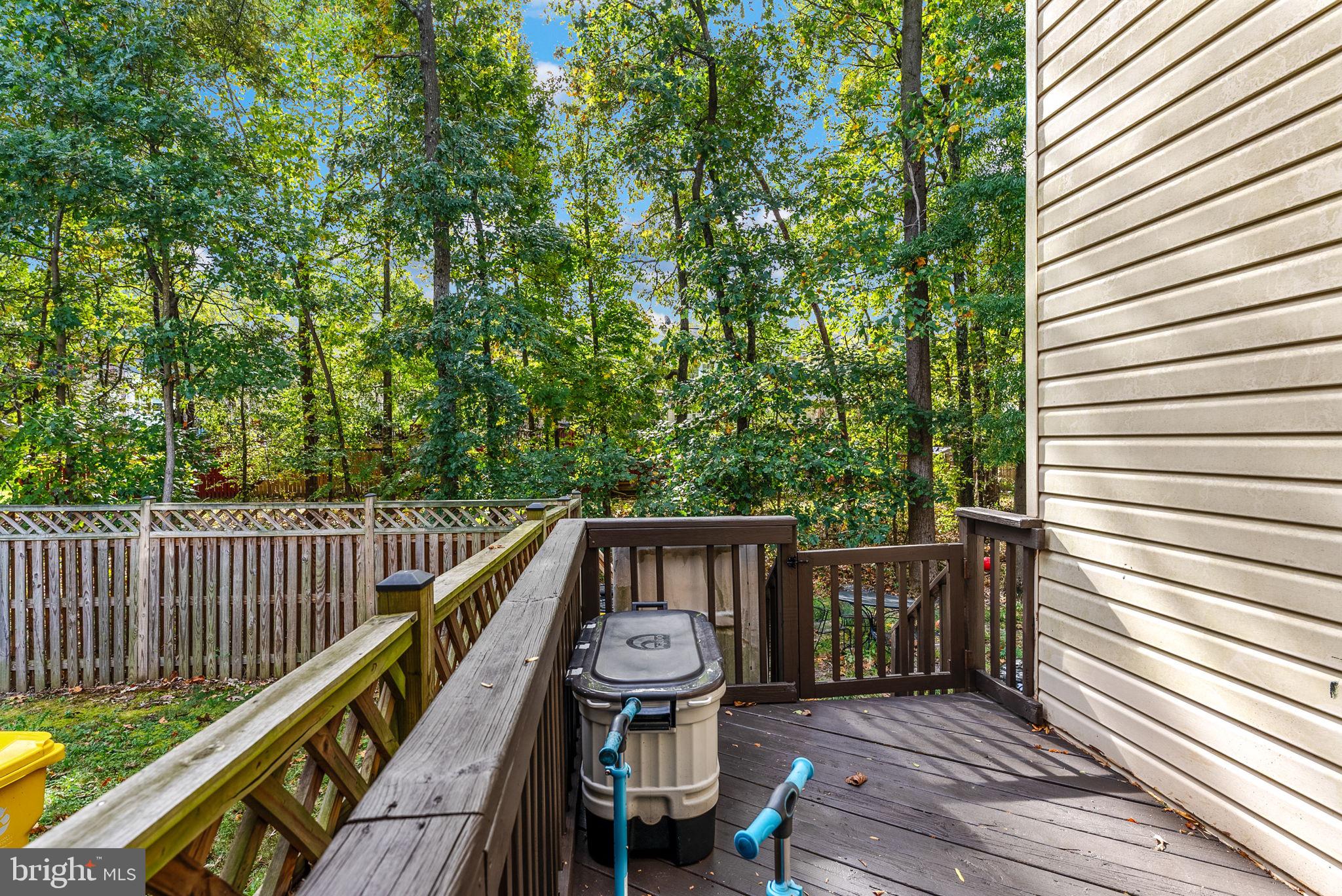 CARRIAGE PINES/LAKE VILL - Residential