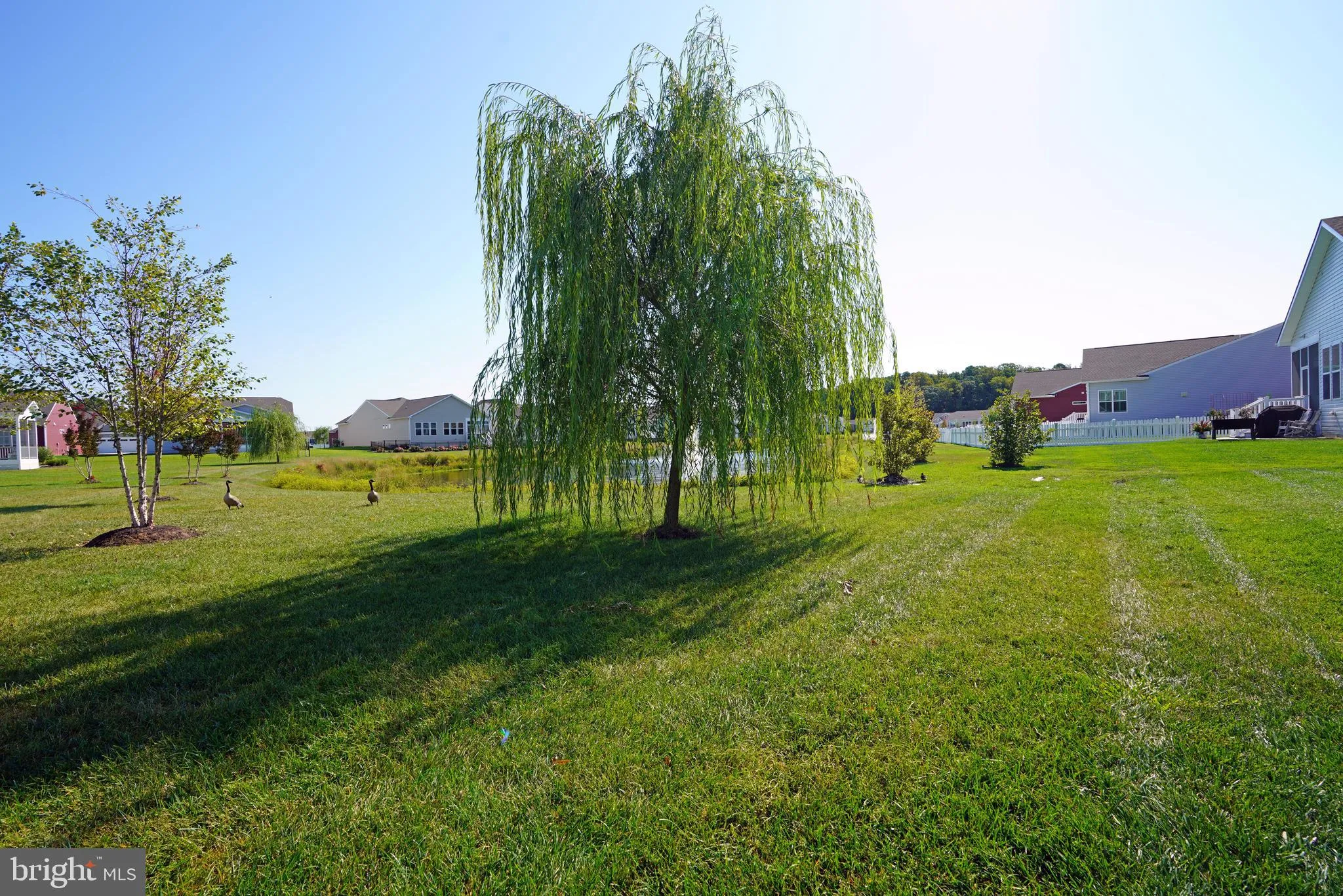 Lewes, Delaware 19958, United States, 5 Bedrooms Bedrooms, ,4 BathroomsBathrooms,Residential,Pending,43793