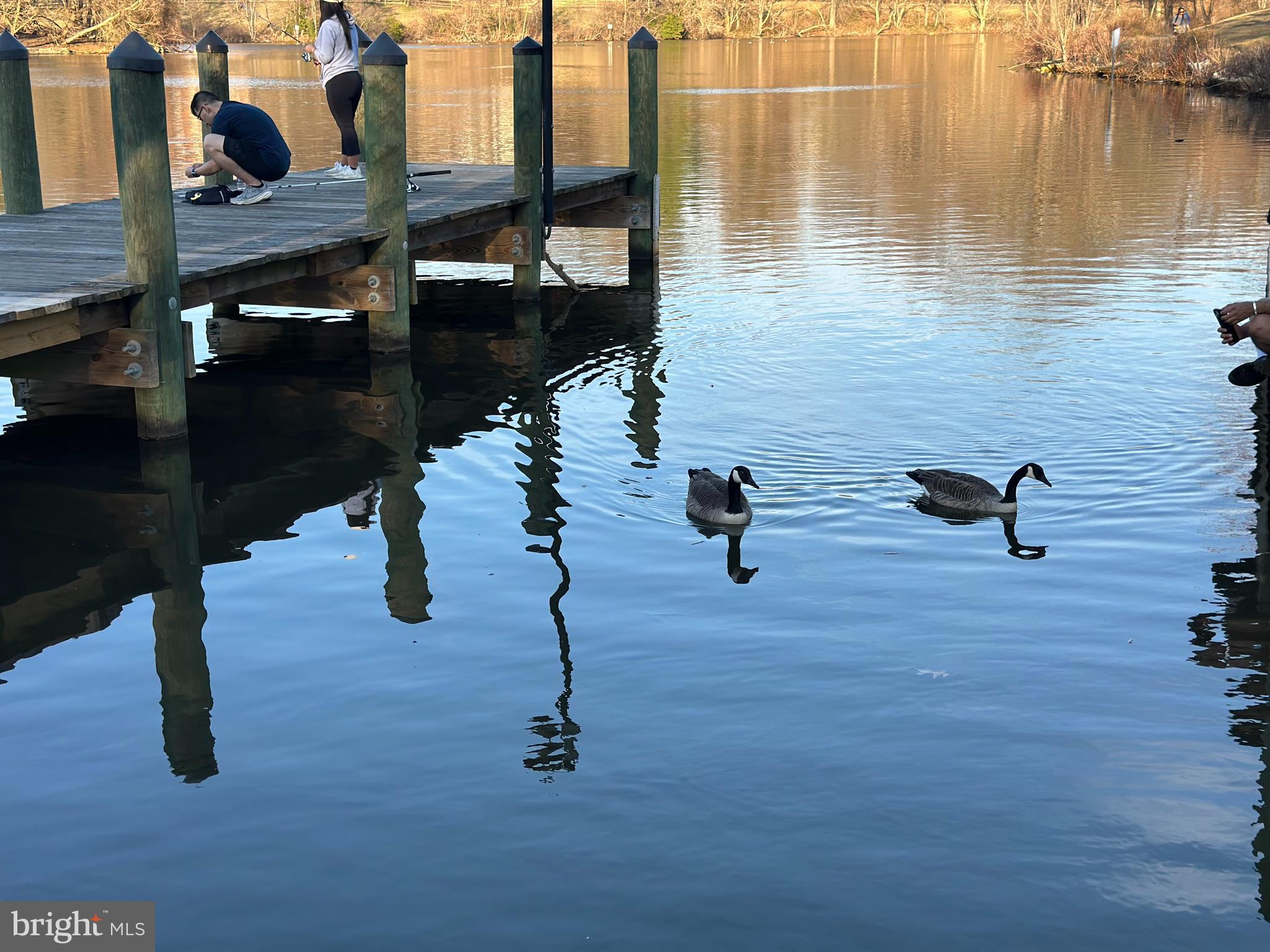 MARYLAND PLACE - Residential