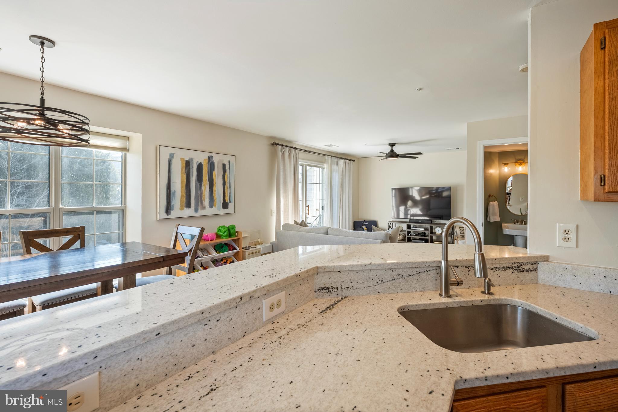 LAKE RIDGE POINTE CONDO - Residential