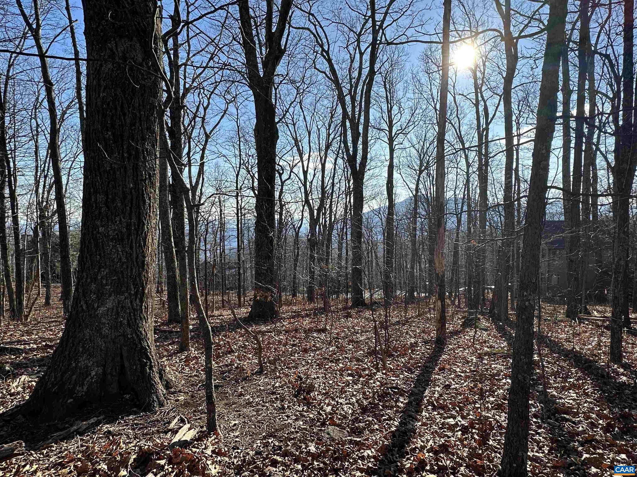 Welcome to the perfect canvas for your new Wintergreen home! Elevated homesite ensures amazing seasonal views across the Dogwood Rd. cul de sac. This quiet location sets the stage for your dream home. Great western exposure for late day light and sunsets. This homesite also has a second deeded driveway access directly off Wintergreen Drive. Public water & sewer, electric, and firefly internet already at the road. See attached docs for copy of the recently prepared topographic map, expanded plat, and approval letter from Wintergreen Property Owners Association for the driveway access from Wintergreen Drive.