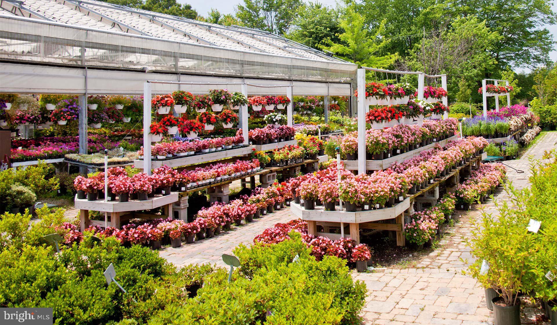 HOADLY MANOR - Residential Lease