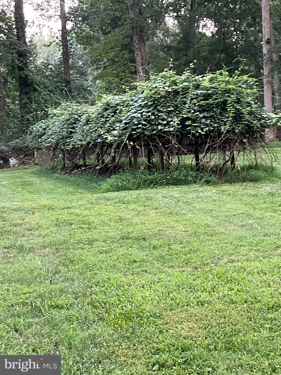 OWINGS MILLS - Residential