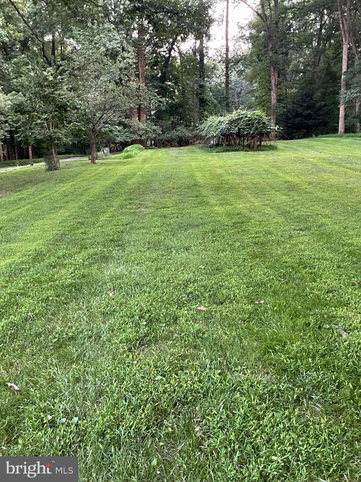 OWINGS MILLS - Residential