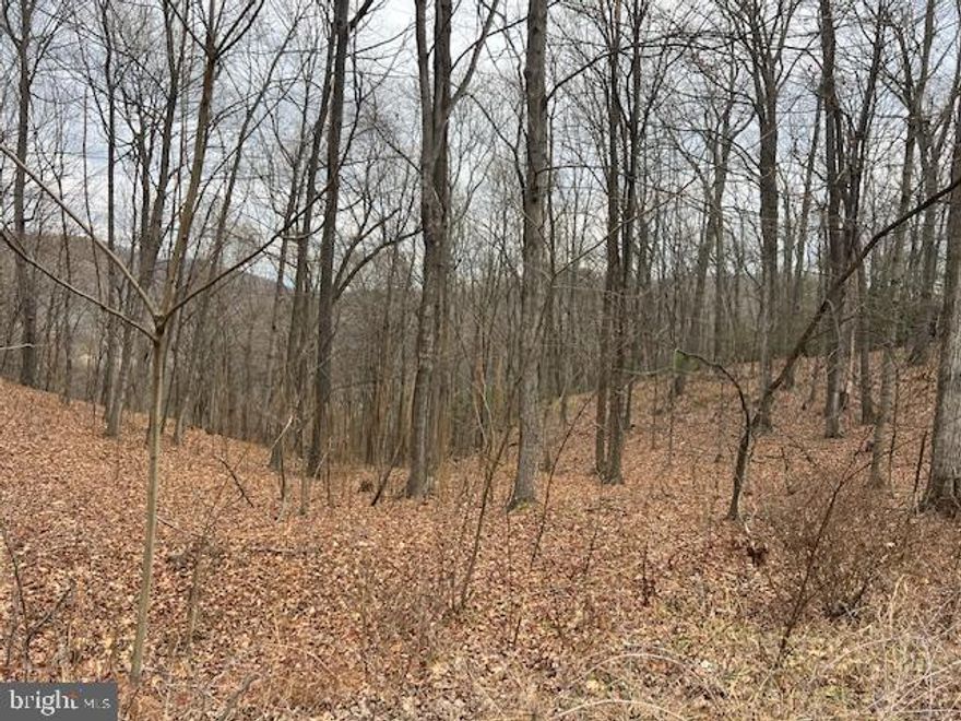 Seize the opportunity in Tree Hill Subdivision on Cubbyhole Ln., Berkeley Springs, WV. Conveniently accessible, this consolidated 15.57-acre parcel spanning Lots 9, 10, 11, 26, 28, and 36 awaits your vision. Easily located, just beyond the Berkeley Springs Castle, turn left onto Cold Valley Run, then right onto Cubbyhole Lane. As you approach the first set of property markers, you've found Lot 28 with lot 9 behind it. (follow directions on documents to locate the others)  Explore the natural beauty, envisioning the possibilities for your dream home or investment. A unique chance for 15.57 acres in the heart of Berkeley Springs' serene landscape. All lots being sold as one transaction. No info on any HOA other than documents provided. Professional  photos soon and buyer to do their own due diligence .