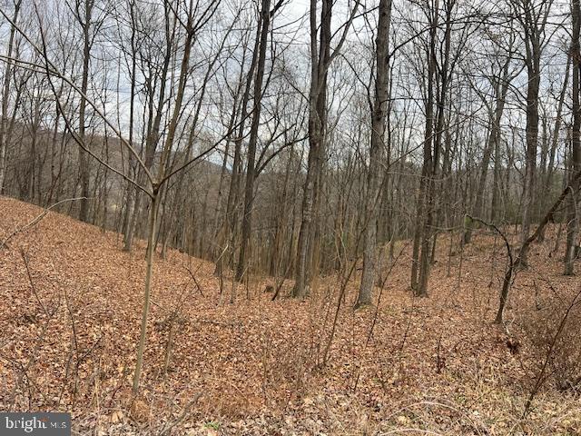 TREELAND HILLS - Land