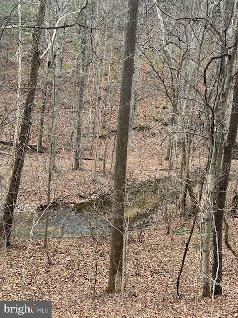 TREELAND HILLS - Land