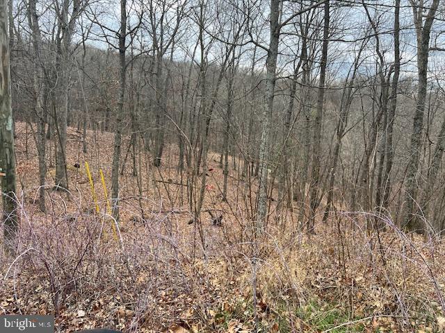 TREELAND HILLS - Land