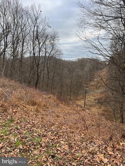 TREELAND HILLS - Land